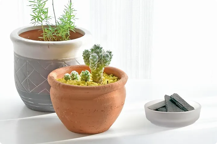 お部屋の空気清浄に